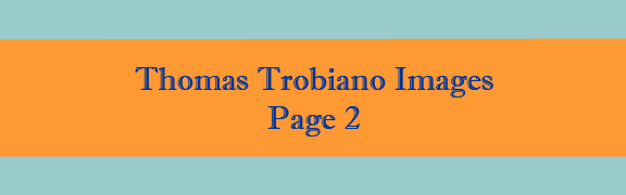 Thomas Trobiano Images Page 2 Banner